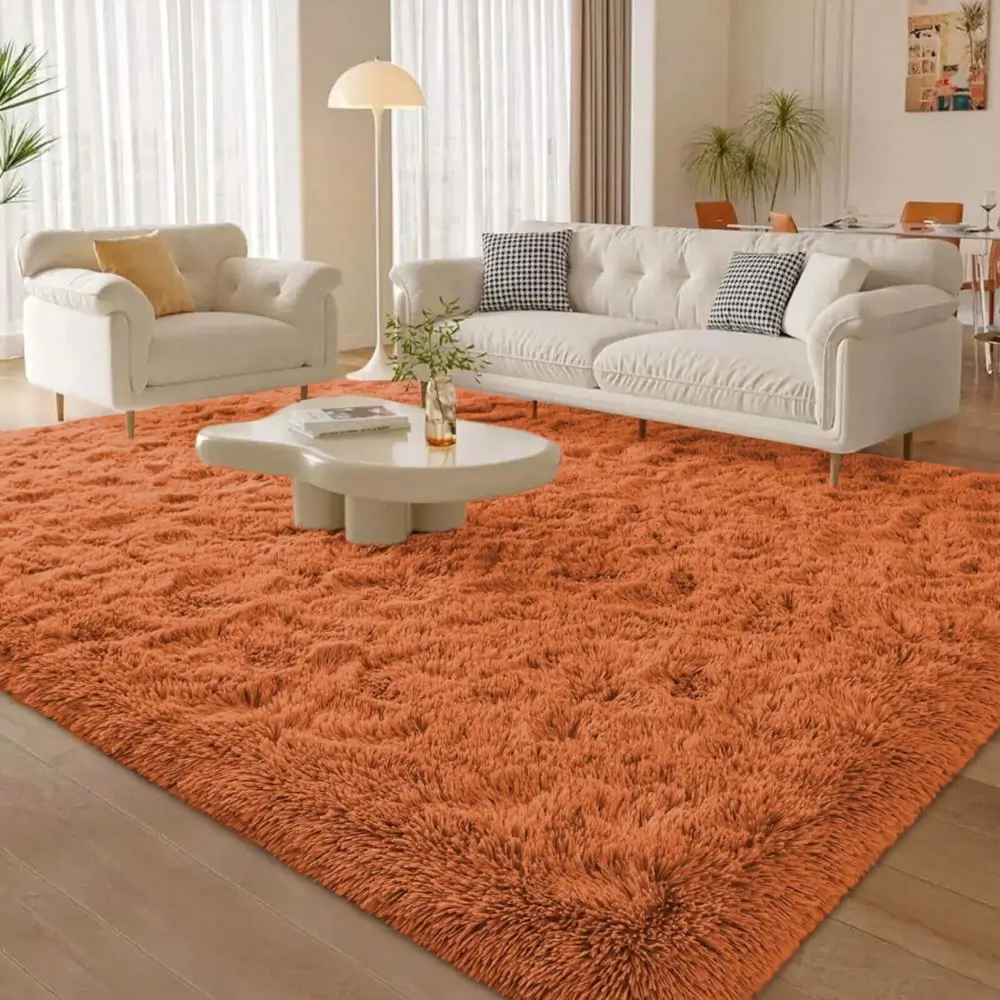 Orange Rugs