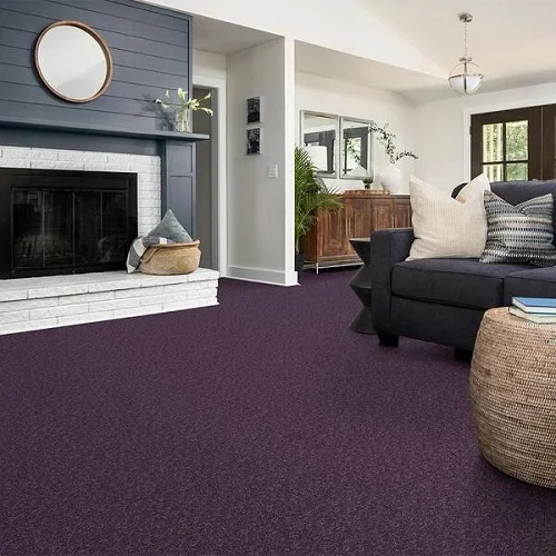 purple carpets