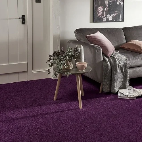 purple carpets