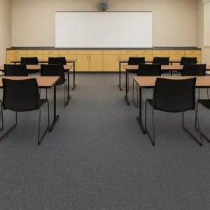 Vinyl Flooring in Classroom
