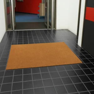 Coir Mats