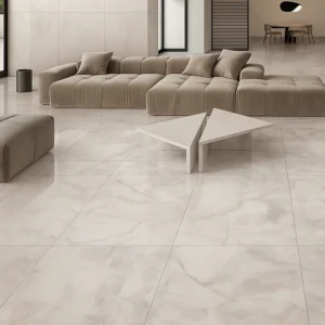 Porcelain Tiles in Living Room