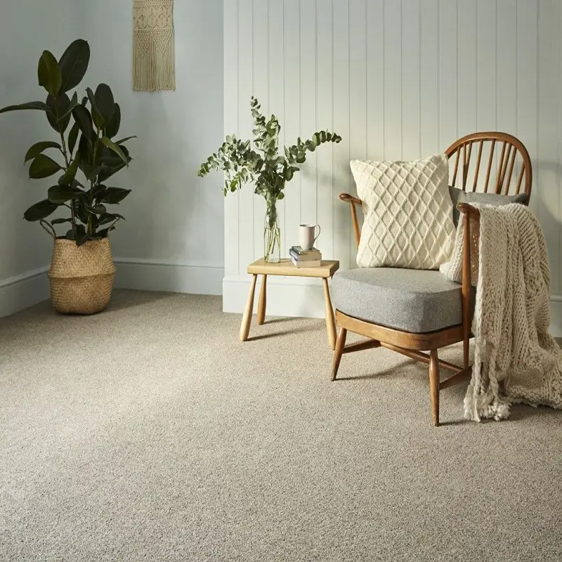 Residential Beige Carpets