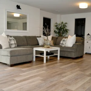 Basement Flooring in Home