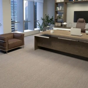 Beige Carpets in Office