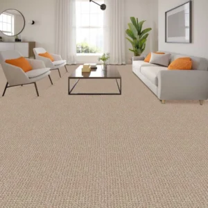 Berber Carpet in Living Room