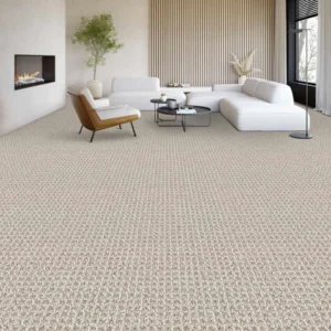 Berber Carpets in Living Room