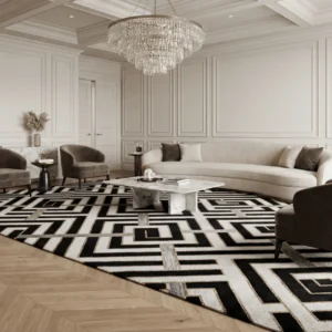 Luxury Carpets in Living Room