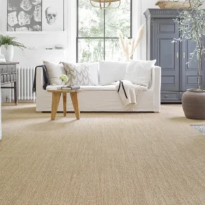 Seagrass Carpet in Living Room