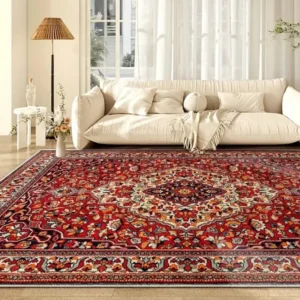 Velvet Carpet in Living Room