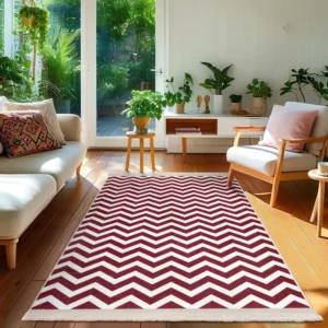 Zig Zag Mats in Home Entryways