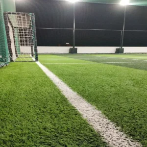 Astro Turf