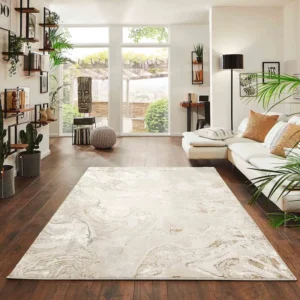 Beige Rugs in Living Room
