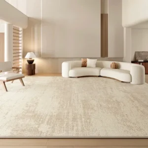 Beige Rugs in Living Room
