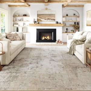 Beige Rugs in Living Room