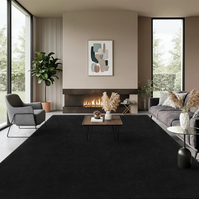 Black Carpet in Living Area