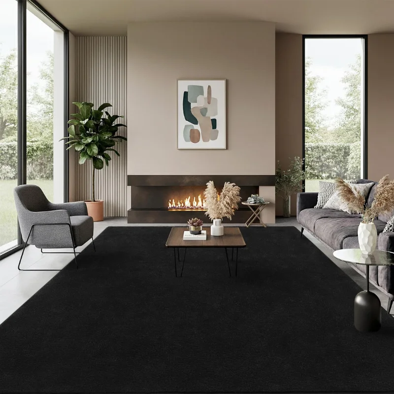 Black Rugs in Living Room (1)