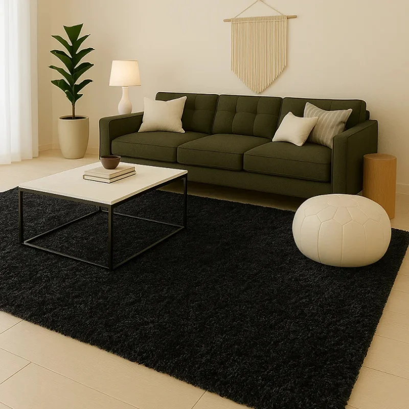 Black Rugs in Living Room (3)