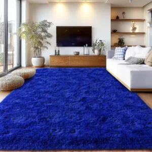 Blue Carpets in Residential Space