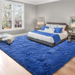 Blue rug in Bedroom