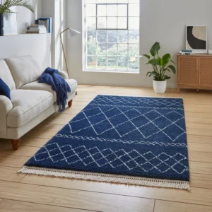 Blue rug in Living Room