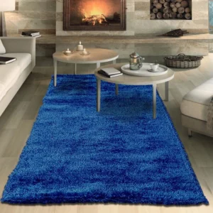 Blue rug in Living Room