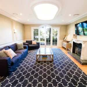 Blue rug in Living Room