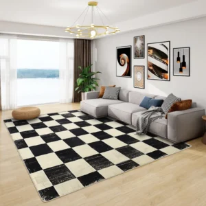 Checkered Rugs in Living Room