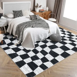 Checkered Rugs in Living Room