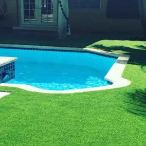 Fake Grass
