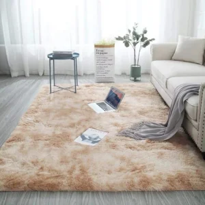 Fluffy Rugs in livingroom