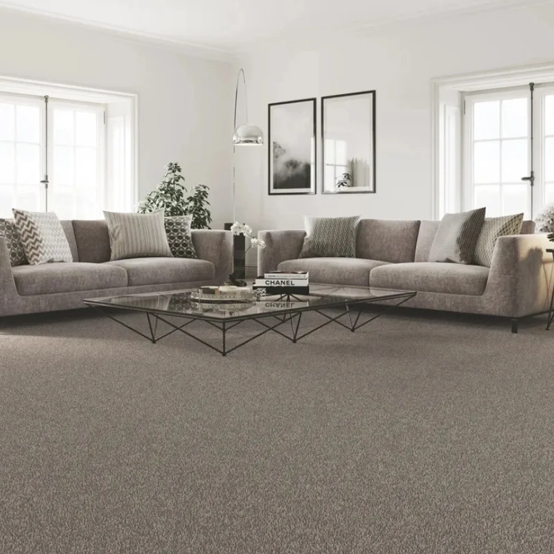 Grey Carpets in Living Room