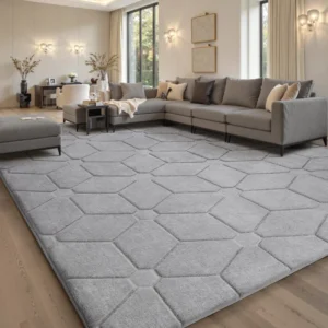 Grey Rugs in Living Rooms (1)