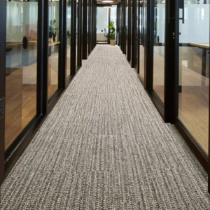Hallway Carpets in Office Corridor