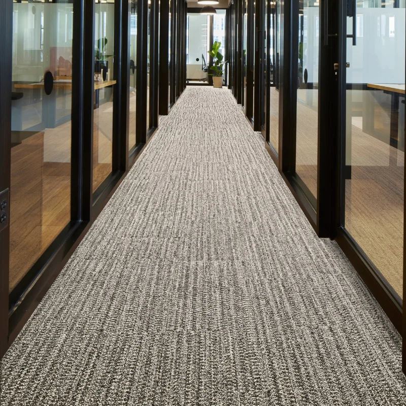 Hallway Carpets in Office Corridor