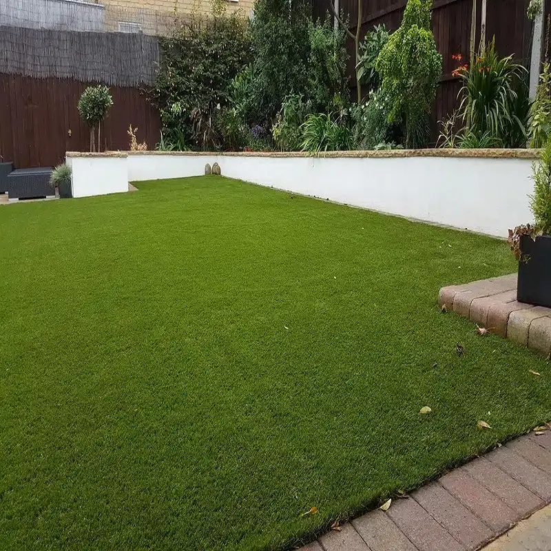Lawn Turf Grass in garden