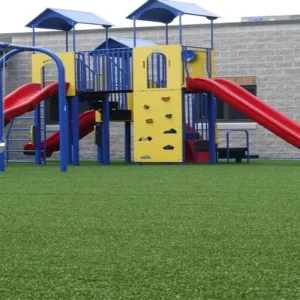 Lawn Turf Grass