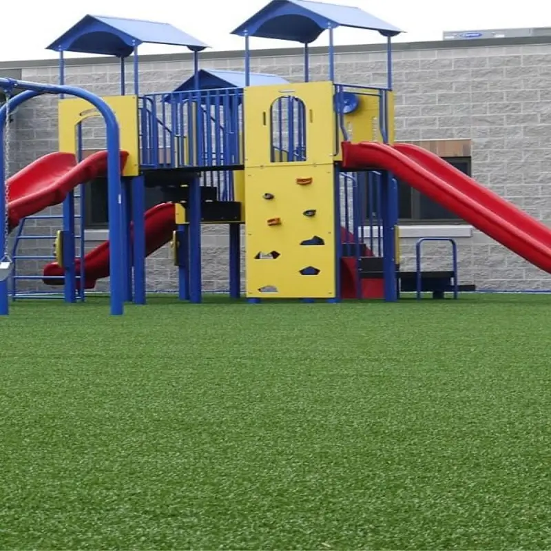 Lawn Turf Grass in Playground