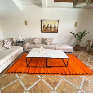 Orange Carpets in Living Room