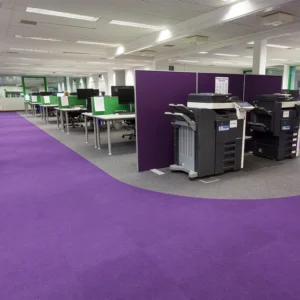 Purple Carpets in Office