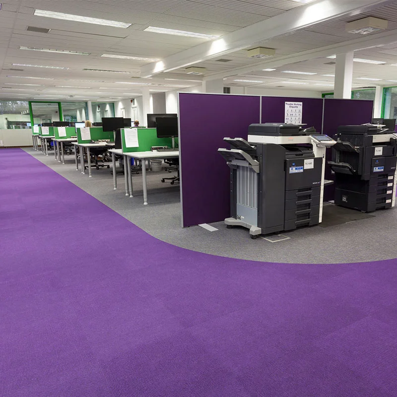 Purple Carpets in Office