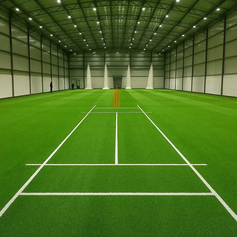 Turf Grass in Cricket pitch