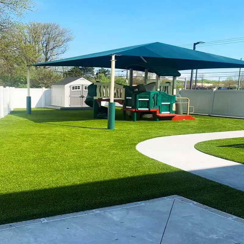 Turf Grass in Playground
