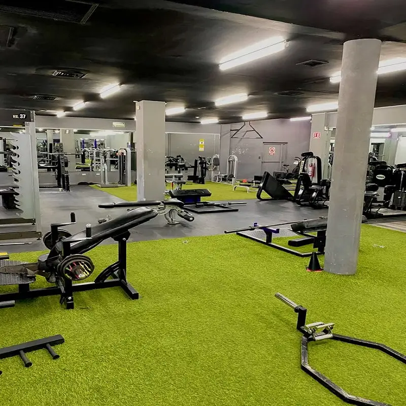 Turf Grass in gym