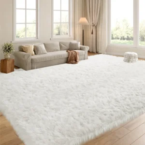 White Carpet in Living Area