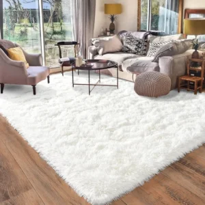 White Rugs in Living Room
