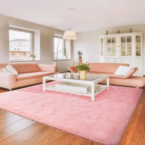 Pink Rugs in living room