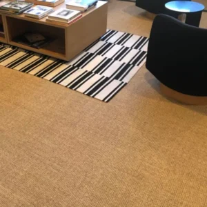 Astute Sisal Carpets