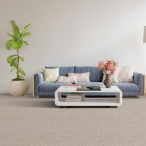 Carpets Big Dreams Carpets