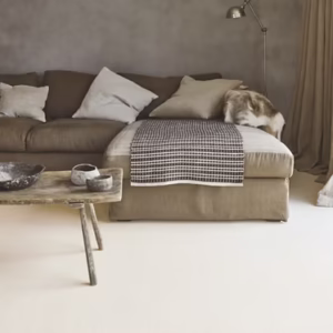 Carpets Biscayne Plain Mascarpone Wool